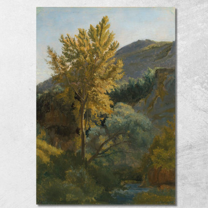 Studio Di Un Albero Vicino A Un Torrente In Italia Jean-Baptiste-Camille Corot jbc54 quadro stampato su tela