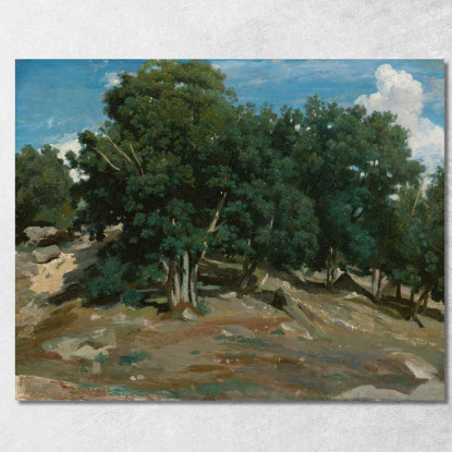 Querce Di Fontainebleau A Bas-Bréau Jean-Baptiste-Camille Corot jbc65 quadro stampato su tela