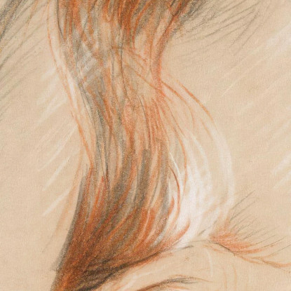 Femmina Nuda Con Capelli Lunghi Paul César Helleu pch28 quadro stampato su tela