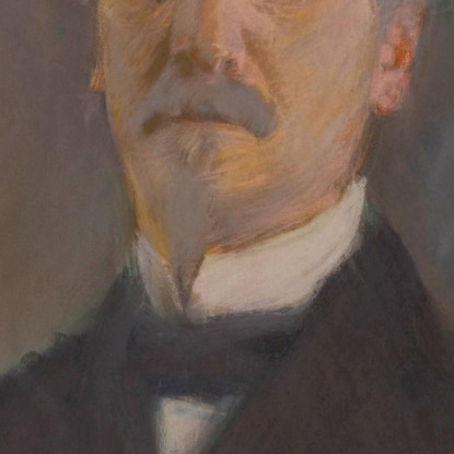 Ritratto Di Henri Rochefort Paul César Helleu pch43 quadro stampato su tela