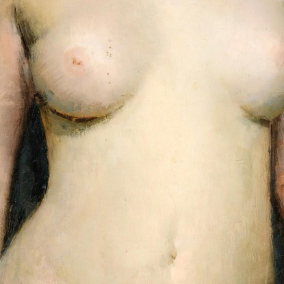 Nudo In Piedi Paul César Helleu pch54 quadro stampato su tela