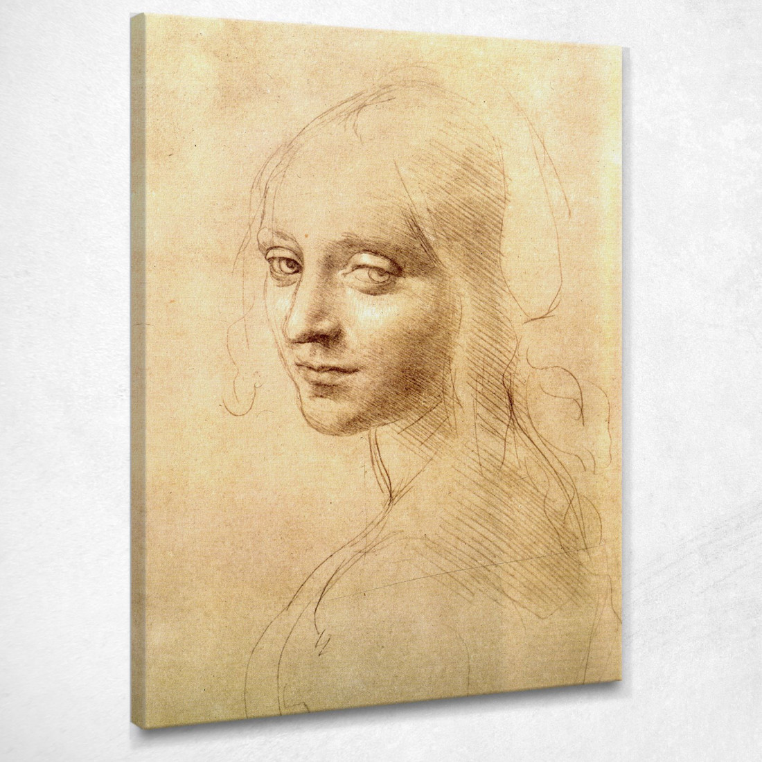 Testa Di Donna Leonardo Da Vinci ldv17 quadro stampato su tela Testa Di Donna Leonardo Da Vinci ldv17 quadro stampato su tela