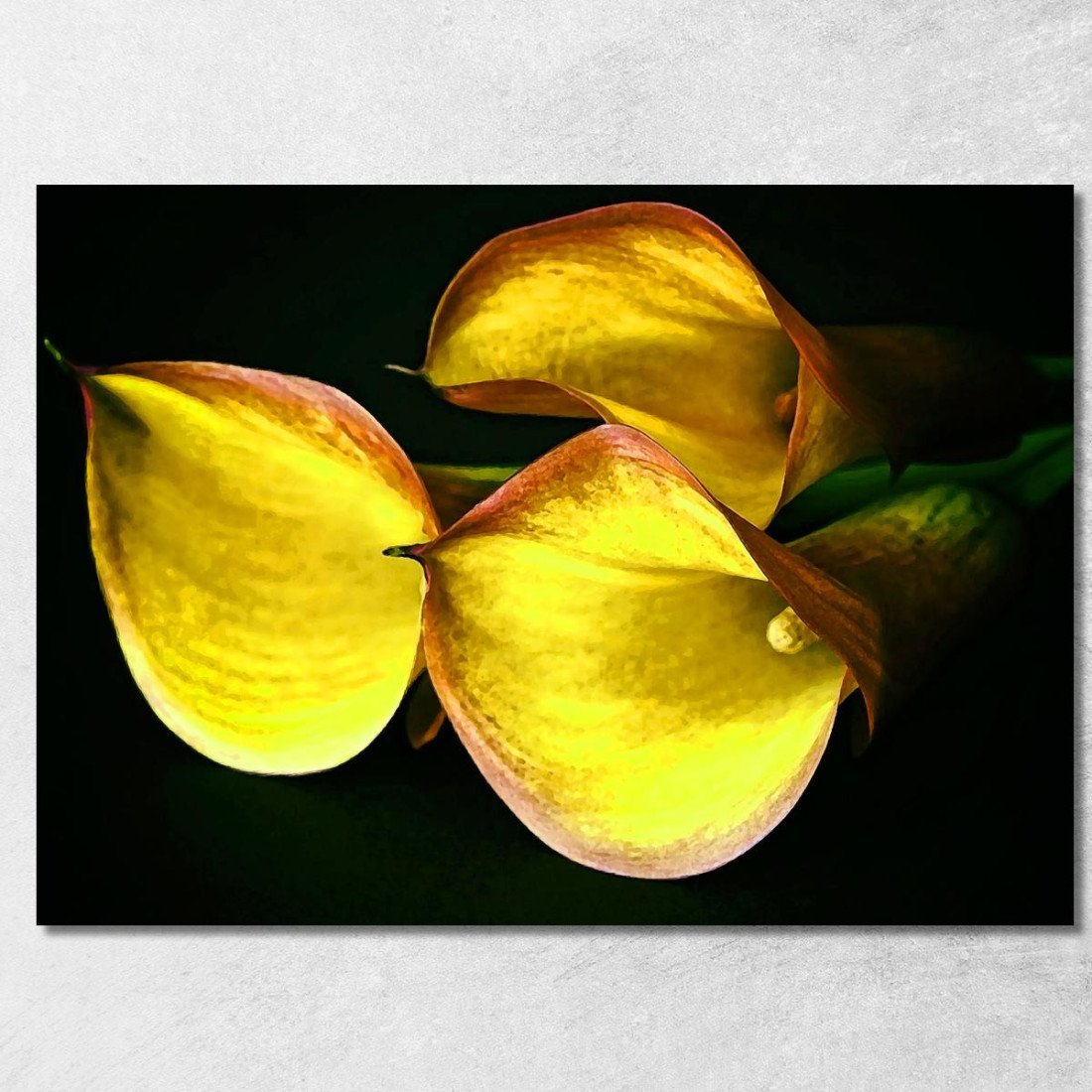 Quadro Astratto Calla Delicata abs10 quadro stampato su tela Quadro Astratto Calla Delicata abs10 quadro stampato su tela
