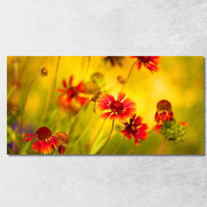 Quadro Astratto Fiori Di Campo abs34 quadro stampato su tela