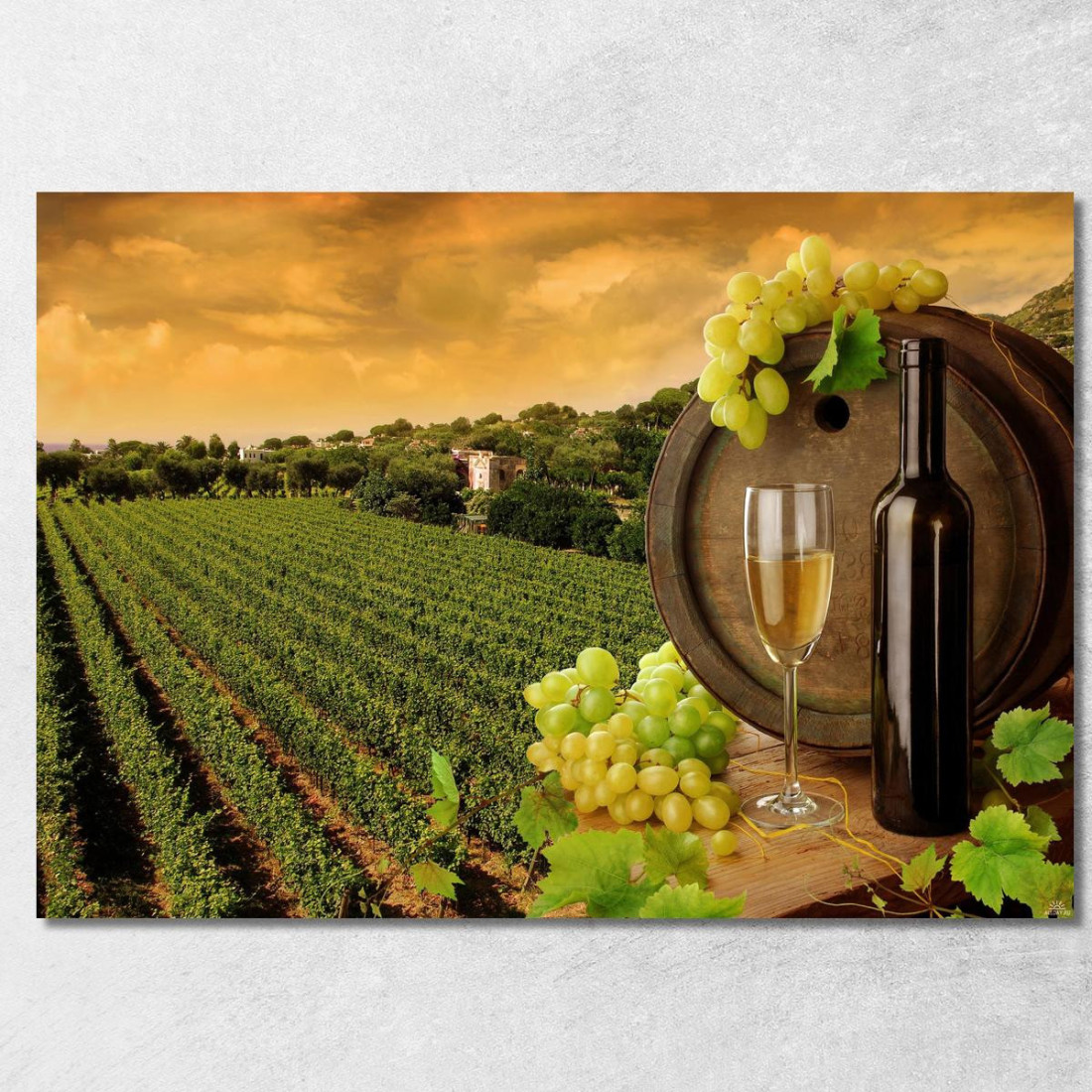 Quadro Moderno Vigneto Al Tramonto Con Botte Di Vino E Uva Bianca foo118 quadro stampato su tela Quadro Moderno Vigneto Al Tramonto Con Botte Di Vino E Uva Bianca foo118 quadro stampato su tela