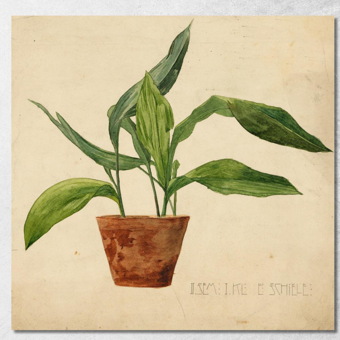 Pianta In Vaso (Lavoro Scolastico) Egon Schiele esh194 quadro stampato su tela Pianta In Vaso (Lavoro Scolastico) Egon Schiele esh194 quadro stampato su tela