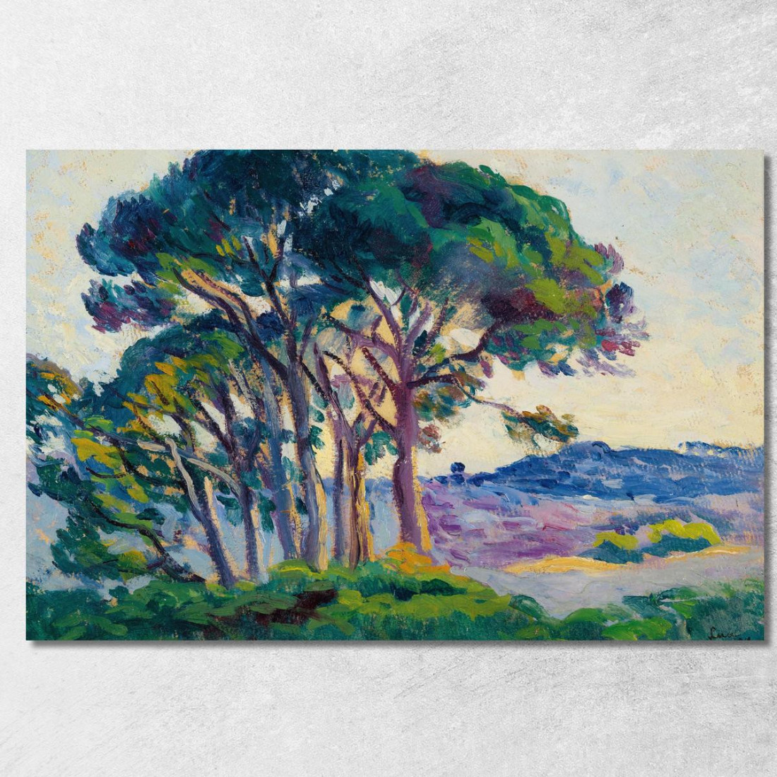 Pini Ai Cannebiers Maximilien Luce mlc88 quadro stampato su tela Pini Ai Cannebiers Maximilien Luce mlc88 quadro stampato su tela