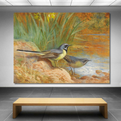 5 Ballerine Grigie Archibald Thorburn ath1 quadro stampato su tela