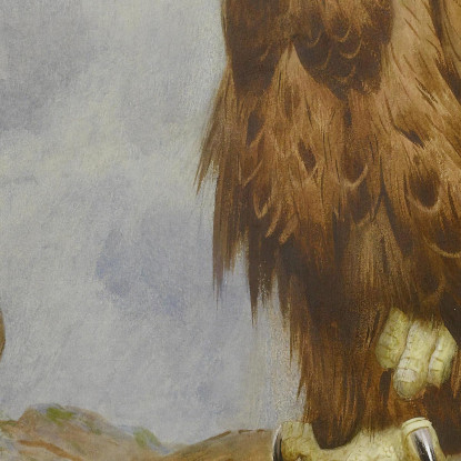 Una Coppia Di Aquile Reali Archibald Thorburn ath9 quadro stampato su tela