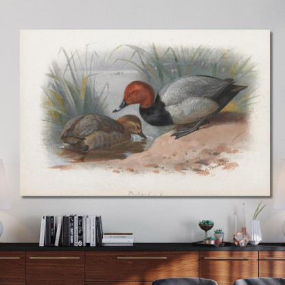 Una Coppia Di Moriglioni Archibald Thorburn ath10 quadro stampato su tela