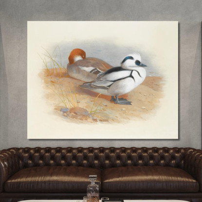 Una Coppia Di Smew Archibald Thorburn ath12 quadro stampato su tela