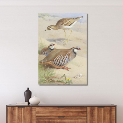 Un Occhione E Una Coppia Di Pernici Francesi Archibald Thorburn ath14 quadro stampato su tela