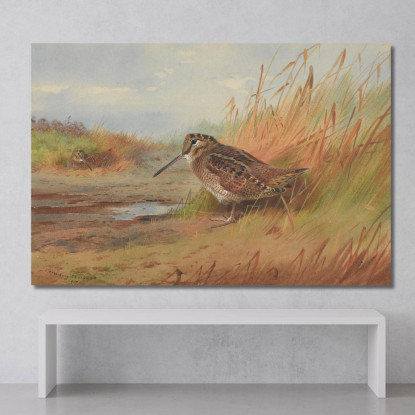 Un Beccaccino Archibald Thorburn ath15 quadro stampato su tela