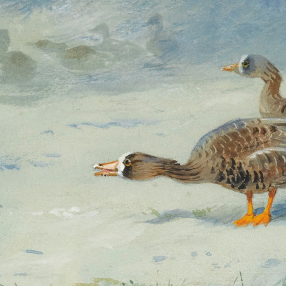 Oche Facciabianca Archibald Thorburn ath17 quadro stampato su tela