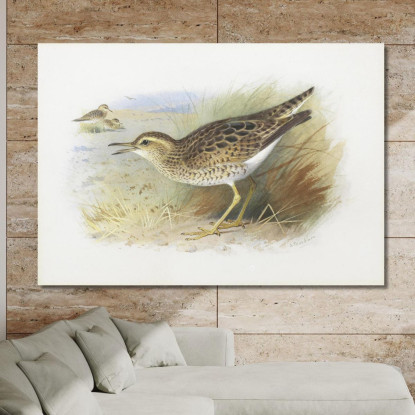 Piviere Di Bartram Archibald Thorburn ath19 quadro stampato su tela