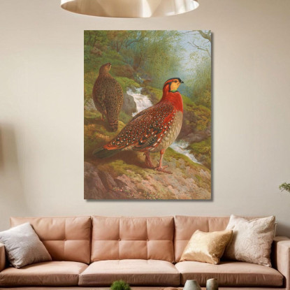 Tragopano Di Blyth Archibald Thorburn ath29 quadro stampato su tela
