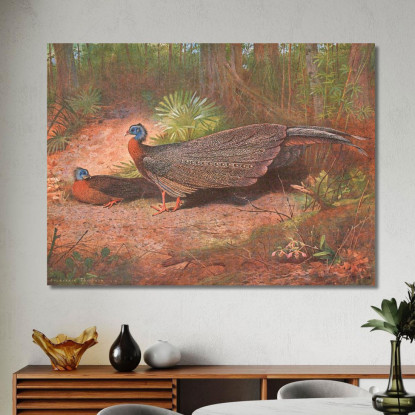 Fagiano Argus Del Borneo Archibald Thorburn ath30 quadro stampato su tela