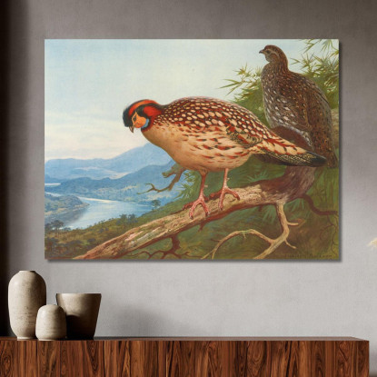 Tragopano Di Cabot Archibald Thorburn ath33 quadro stampato su tela