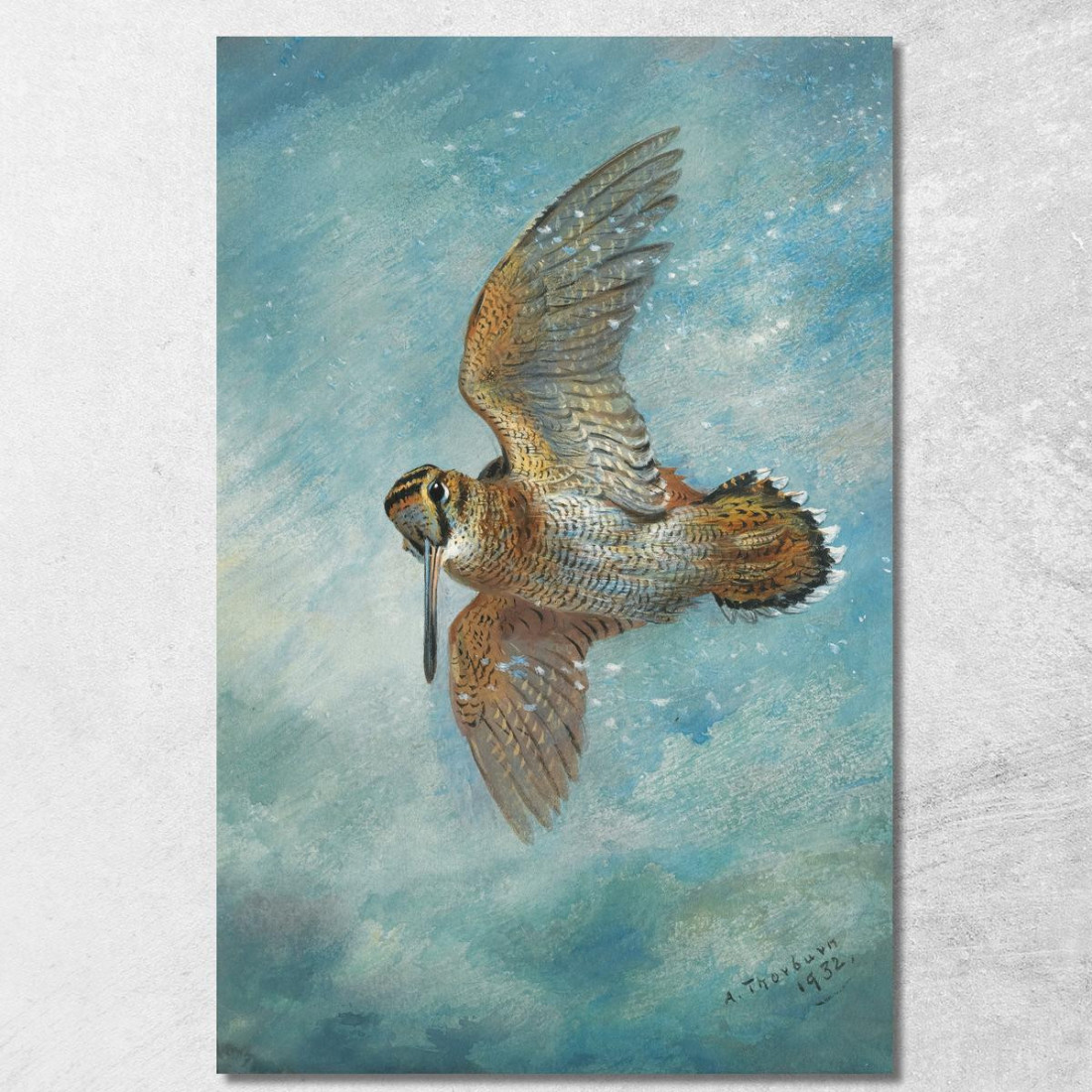 Beccaccia Sorpresa Da Una Bufera Archibald Thorburn ath35 quadro stampato su tela Beccaccia Sorpresa Da Una Bufera Archibald Thorburn ath35 quadro stampato su tela