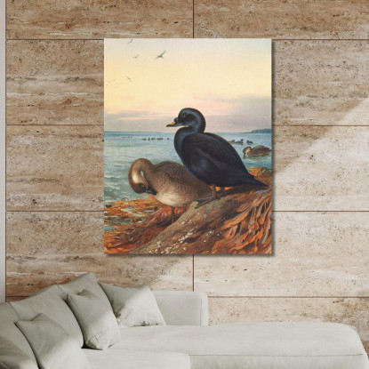 Moretta Comune Archibald Thorburn ath38 quadro stampato su tela