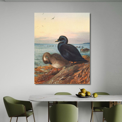 Moretta Comune Archibald Thorburn ath38 quadro stampato su tela