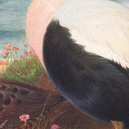 Edredone Archibald Thorburn ath44 quadro stampato su tela