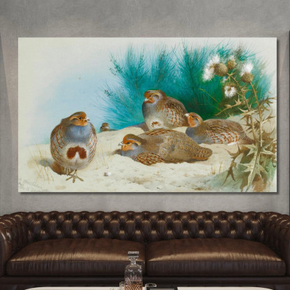 Pernice Inglese Con Ginestra E Cardi Archibald Thorburn ath45 quadro stampato su tela