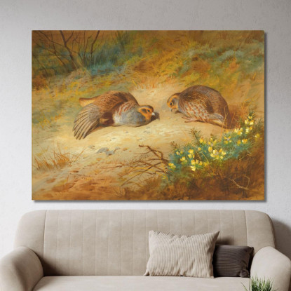 Pernice Grigia Archibald Thorburn ath52 quadro stampato su tela
