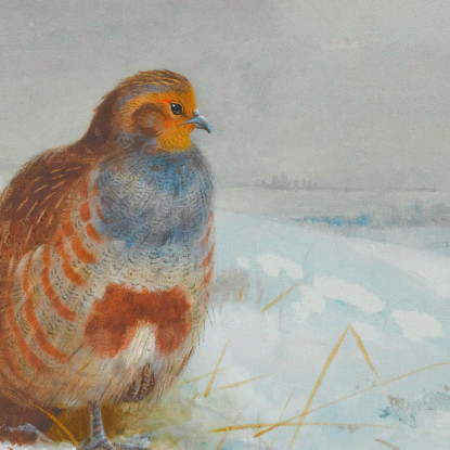 Tempi Difficili: Pernici E Una Lepre Archibald Thorburn ath54 quadro stampato su tela