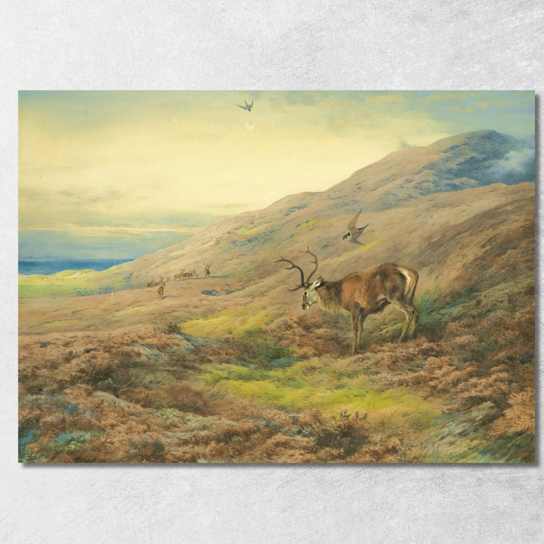 Nelle Highlands: Cervo Rosso Assalito Da Una Coppia Di Falchi Pellegrini Archibald Thorburn ath57 quadro stampato su tela Nelle Highlands: Cervo Rosso Assalito Da Una Coppia Di Falchi Pellegrini Archibald Thorburn ath57 quadro stampato su tela