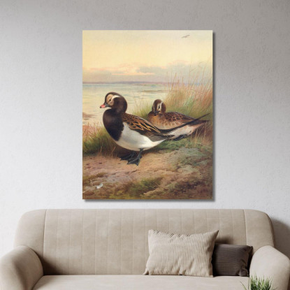 Moretta Codona In Estate Archibald Thorburn ath62 quadro stampato su tela