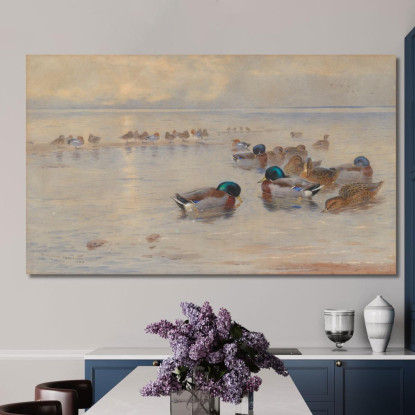 Germani Reali Su Un Lago Archibald Thorburn ath67 quadro stampato su tela