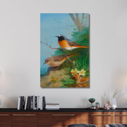 Coppia Di Codirossi Archibald Thorburn ath73 quadro stampato su tela