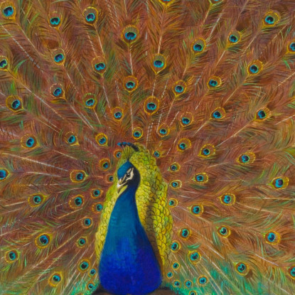 Pavone E Farfalla Del Pavone Archibald Thorburn ath76 quadro stampato su tela