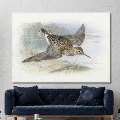 Piro-Piro Pettorale Archibald Thorburn ath78 quadro stampato su tela