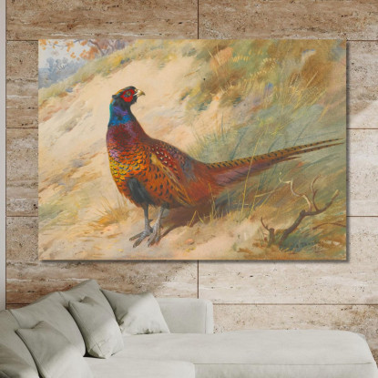 Fagiano Archibald Thorburn ath81 quadro stampato su tela