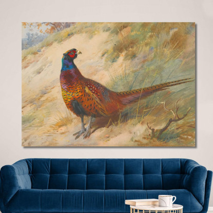 Fagiano Archibald Thorburn ath81 quadro stampato su tela
