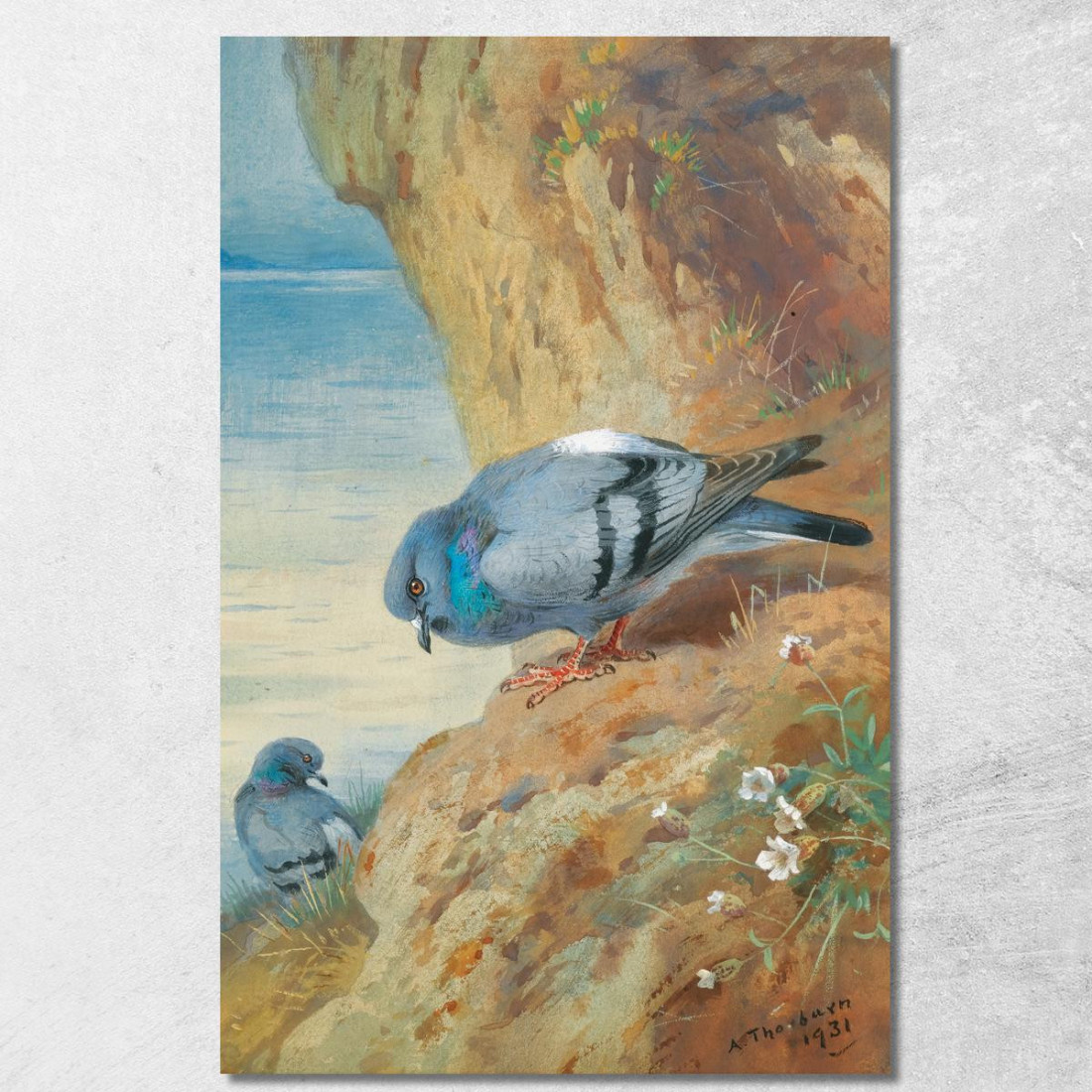 Colombacci Archibald Thorburn ath89 quadro stampato su tela Colombacci Archibald Thorburn ath89 quadro stampato su tela