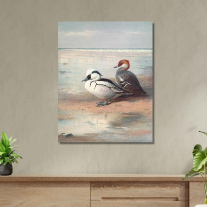 Smergo Minore Archibald Thorburn ath92 quadro stampato su tela
