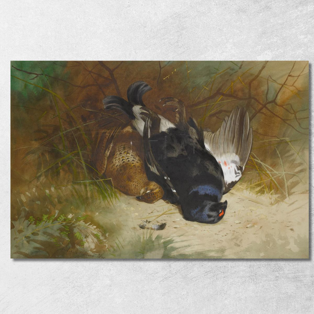 Natura Morta Con Una Coppia Di Galli Forcelli Archibald Thorburn ath94 quadro stampato su tela Natura Morta Con Una Coppia Di Galli Forcelli Archibald Thorburn ath94 quadro stampato su tela