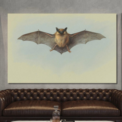 Studio Di Un Pipistrello Albolimbato Archibald Thorburn ath95 quadro stampato su tela