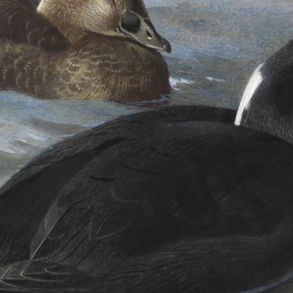 Orco Marino Archibald Thorburn ath96 quadro stampato su tela