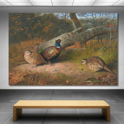 Il Faggio Caduto - Un Gallo E Tre Fagiane Con Una Vespa Archibald Thorburn ath101 quadro stampato su tela