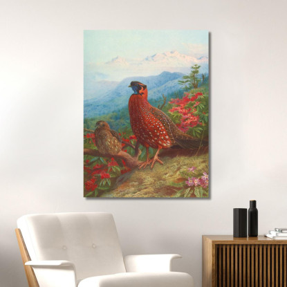 Tragopano Satira Archibald Thorburn ath103 quadro stampato su tela
