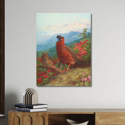Tragopano Satira Archibald Thorburn ath103 quadro stampato su tela
