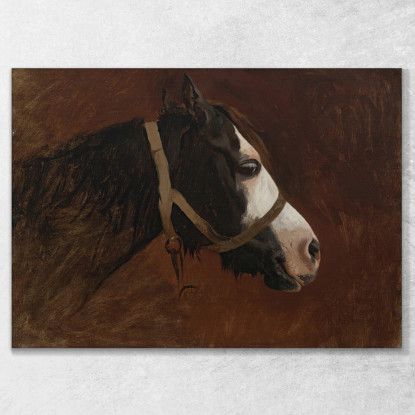 Profilo Di Un Cavallo Jean-Léon Gérôme jlg108 quadro stampato su tela