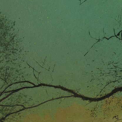 Lago Del Roundhay Park John Atkinson Grimshaw jag58 quadro stampato su tela