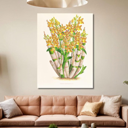Illustrazioni Botaniche Ansellia Congoensis Jean Jules Linden jjl12 quadro stampato su tela