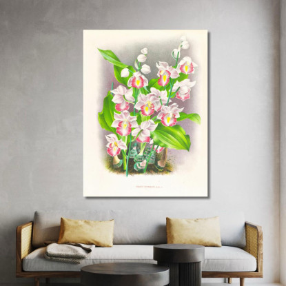 Illustrazioni Botaniche Phaius Humbloti Jean Jules Linden jjl134 quadro stampato su tela