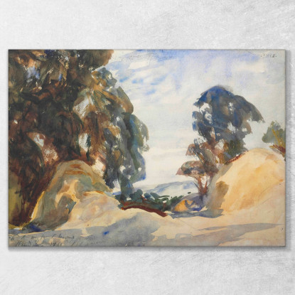 Paesaggio Con Alberi John Singer Sargent jss133 quadro stampato su tela